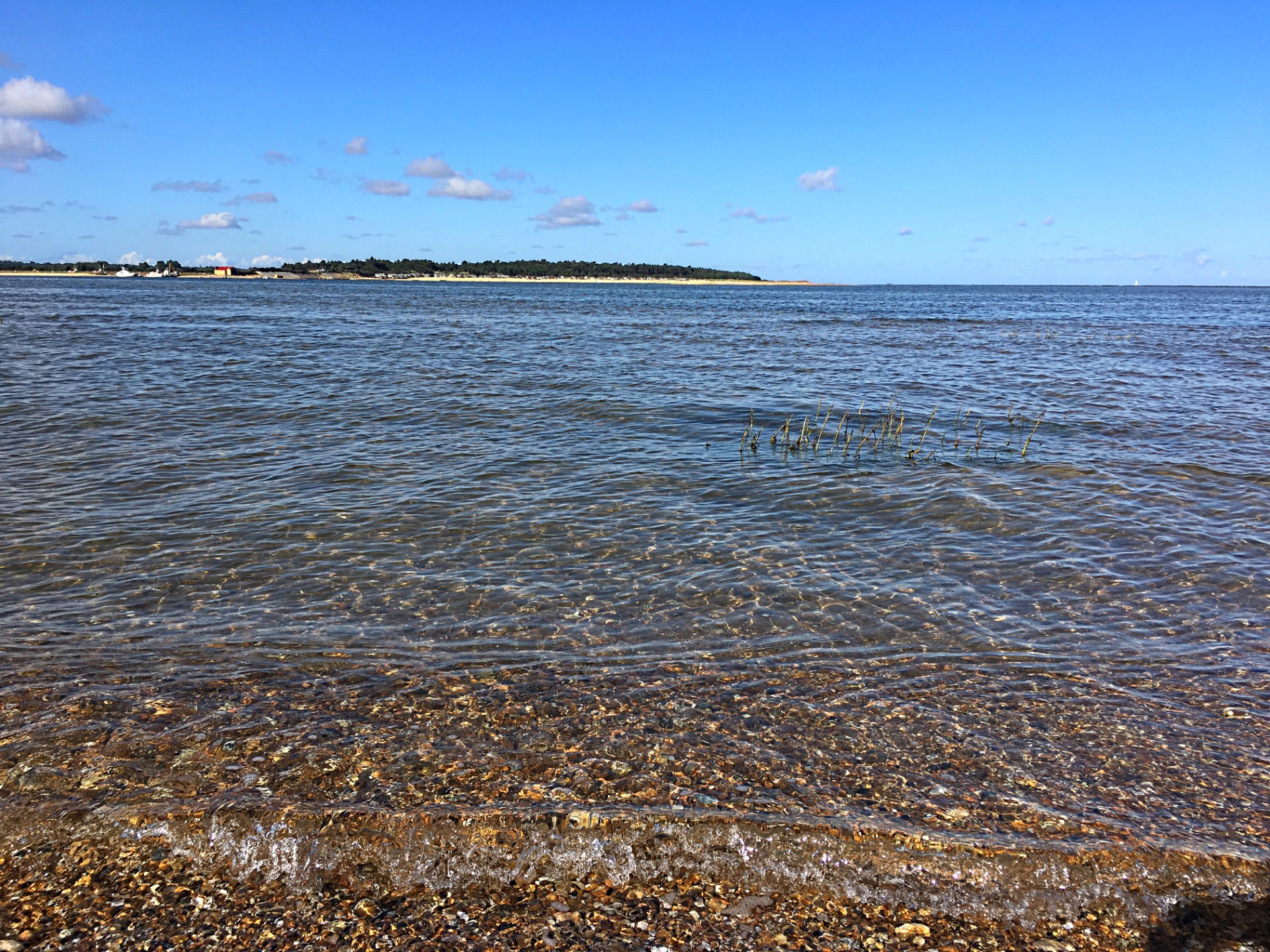 Rocky shoreline with shallow waves, sea grass, distant coast, and blue sky with scattered clouds. in Wells-next-the Sea